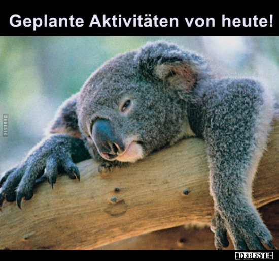 Geplante Aktivitäten von heute!..