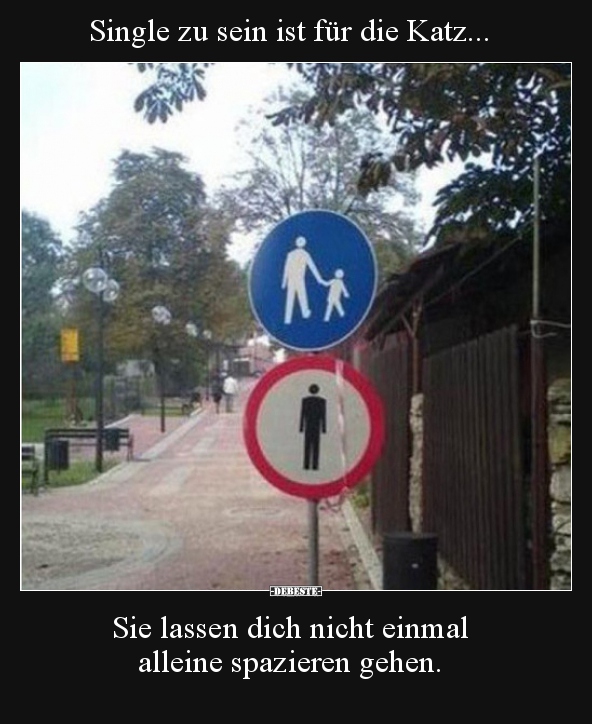 Single zu sein ist für die Katz..