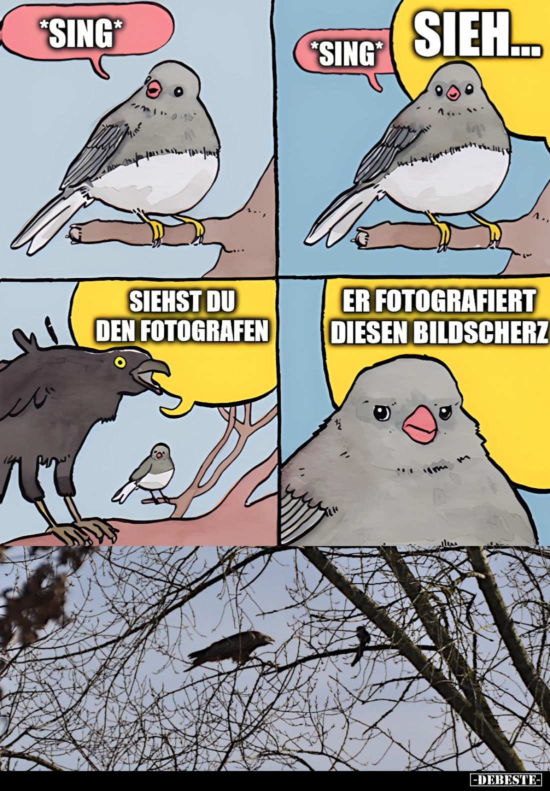 *Sing* -
Sieh...
- Siehst du den Fotografen. - Er fotografiert diesen Bildscherz.