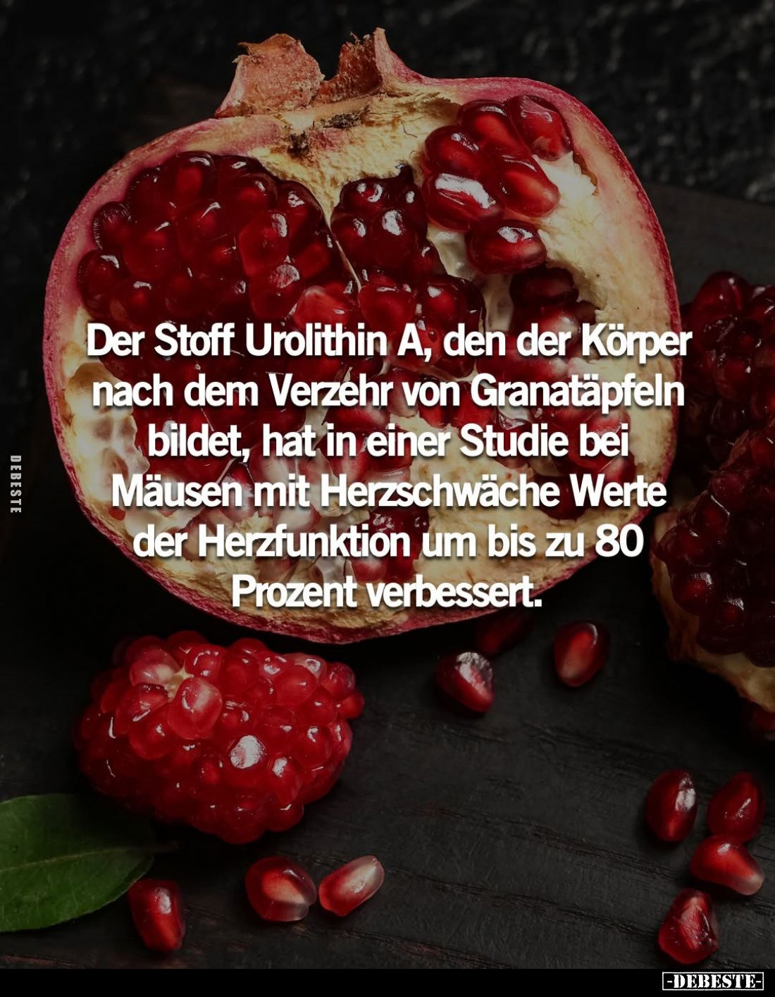 Der Stoff Urolithin A, den der Körper nach dem Verzehr von Granatäpfeln bildet, hat in einer Studie bei Mäusen mit Herzschwäc...