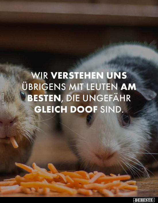 Wir verstehen uns übrigens mit Leuten am besten, die.. - Lustige Bilder | DEBESTE.de