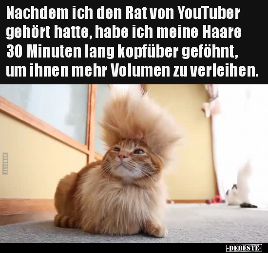 Nachdem ich den Rat von YouTuber gehört hatte, habe ich.. - Lustige Bilder | DEBESTE.de
