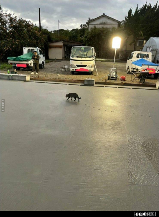  - Lustige Bilder | DEBESTE.de