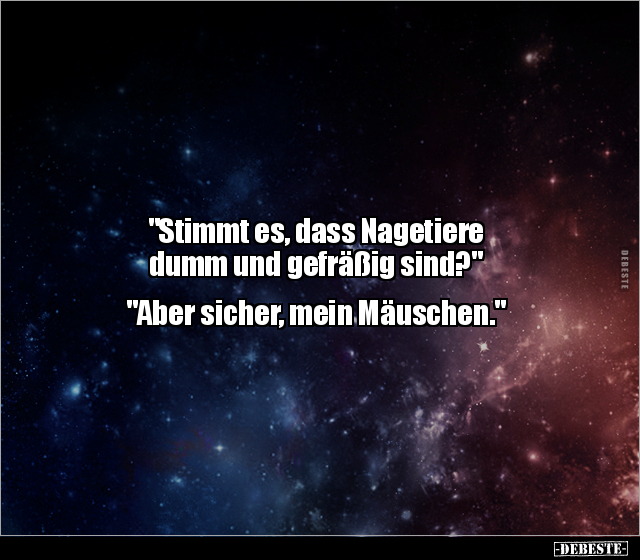 "Stimmt es, dass Nagetiere dumm und gefräßig.." - Lustige Bilder | DEBESTE.de