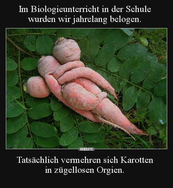 Im Biologieunterricht in der Schule wurden wir jahrelang.. - Lustige Bilder | DEBESTE.de