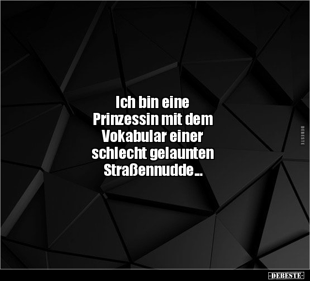 Ich bin eine Prinzessin mit dem Vokabular einer schlecht.. - Lustige Bilder | DEBESTE.de