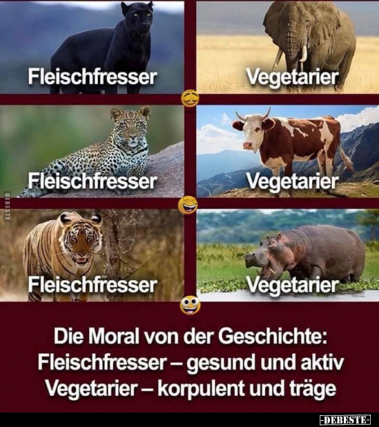 Fleischfresser vs. Vegetarier.. - Lustige Bilder | DEBESTE.de