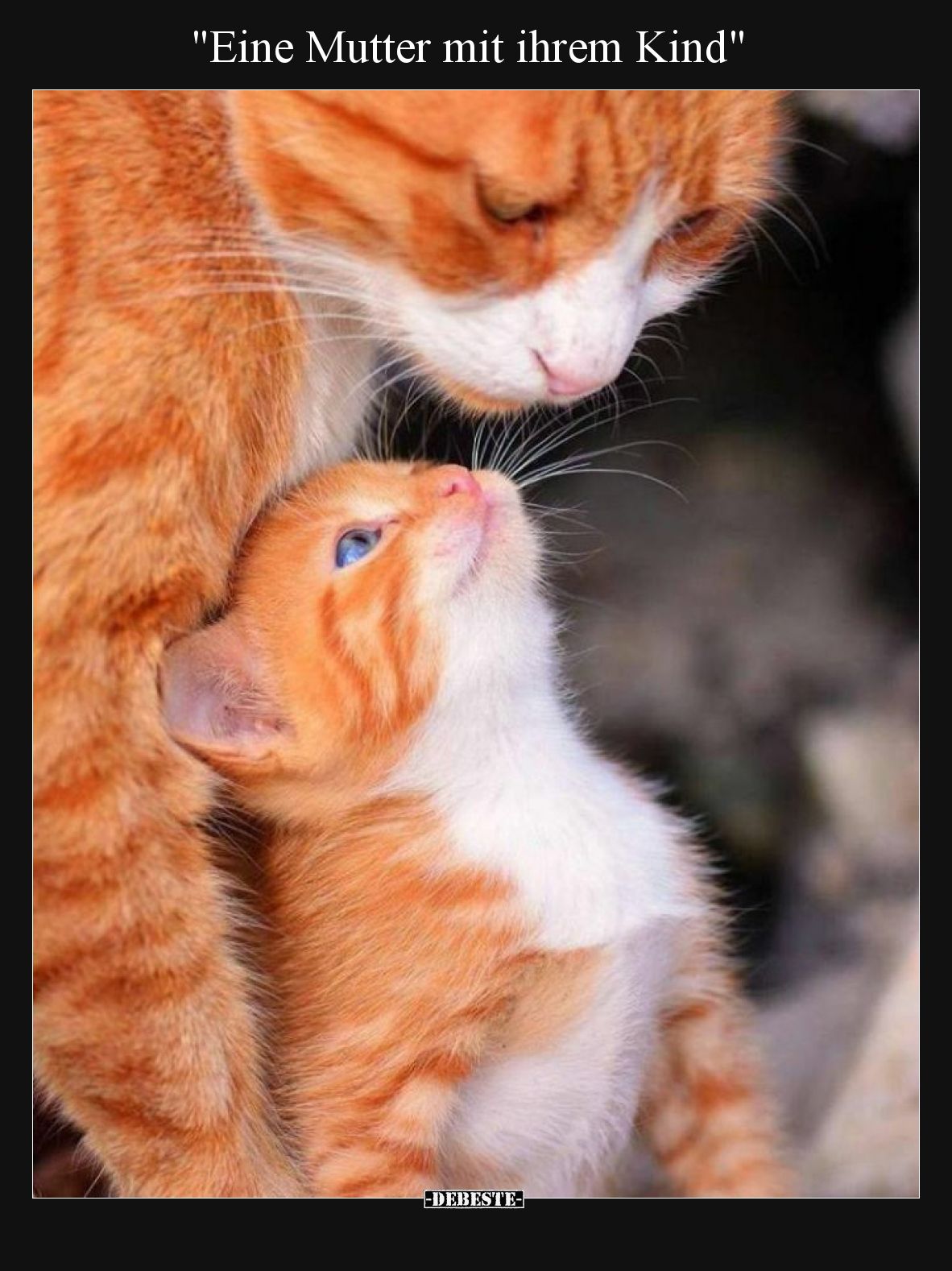 "Eine Mutter mit ihrem Kind".. - Lustige Bilder | DEBESTE.de