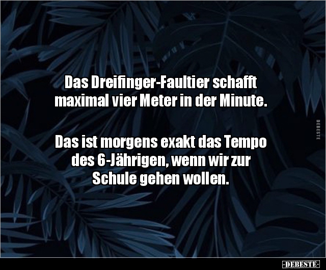 Das Dreifinger-Faultier schafft maximal vier Meter in der.. - Lustige Bilder | DEBESTE.de