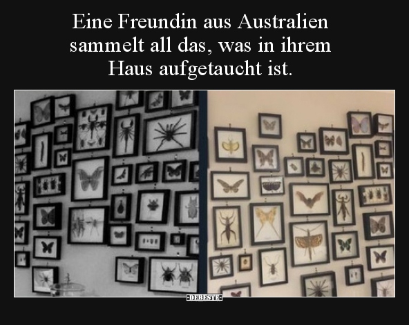 Eine Freundin aus Australien sammelt all das, was in ihrem..