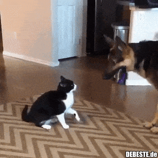 Ach wie süß die Beiden..