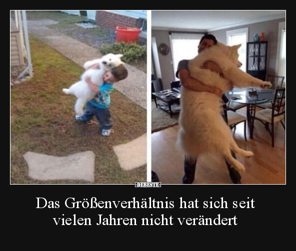 Das Größenverhältnis hat sich seit vielen Jahren nicht..