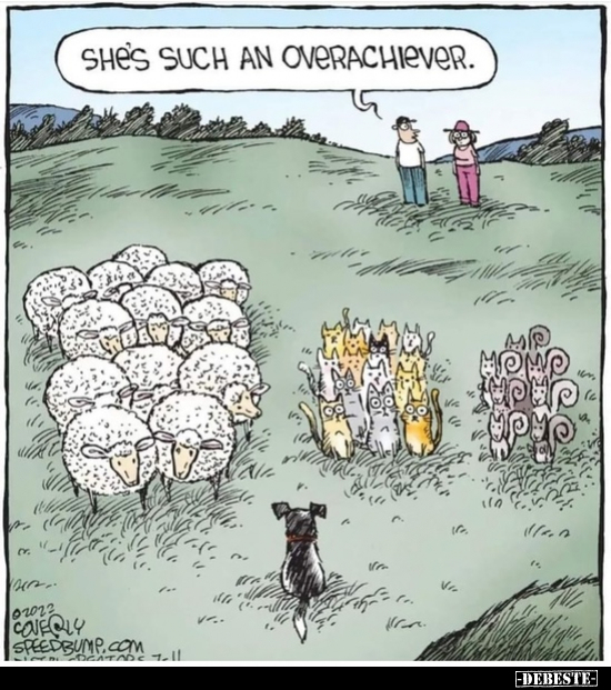 SHE'S SUCH AN OVERACHIEVER.