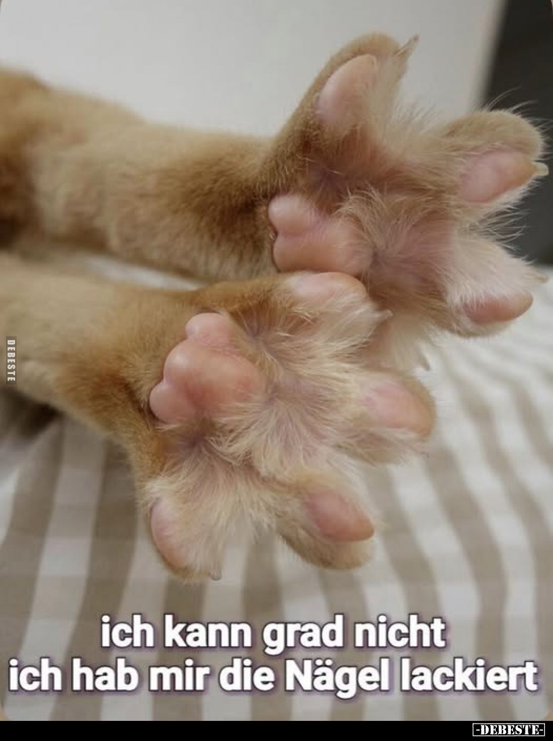 Ich kann grad nicht ich hab mir die Nägel lackiert