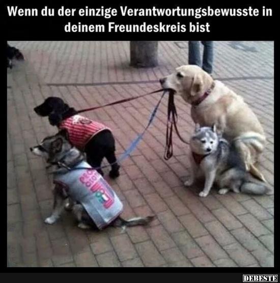 Wenn du der einzige Verantwortungsbewusste..