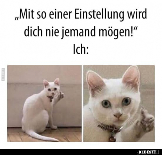 "Mit so einer Einstellung wird dich nie jemand mögen!".. - Lustige Bilder | DEBESTE.de