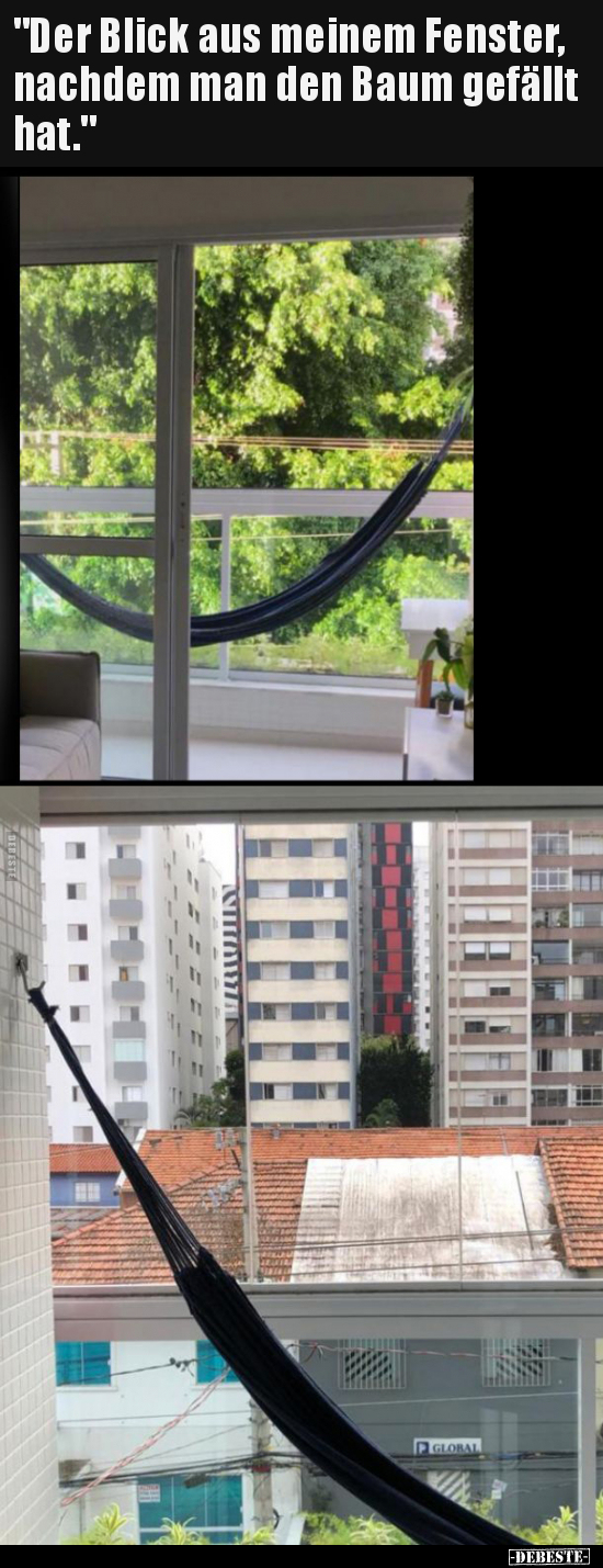 "Der Blick aus meinem Fenster, nachdem man den Baum gefällt.."