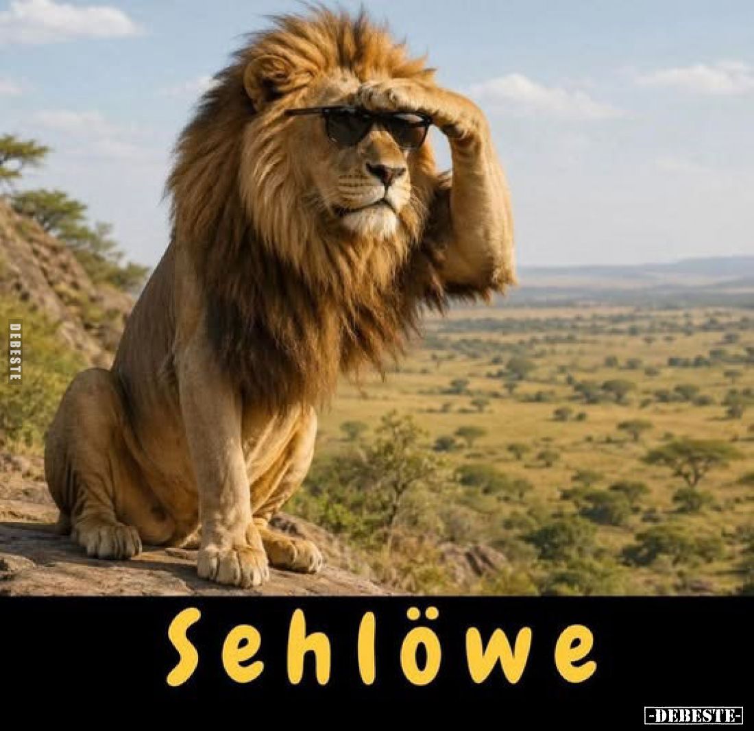 Sehlöwe
