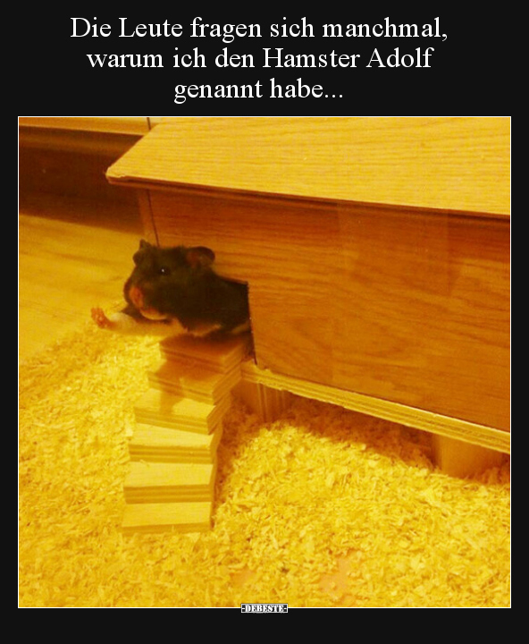 Die Leute fragen sich manchmal, warum ich den Hamster.. - Lustige Bilder | DEBESTE.de