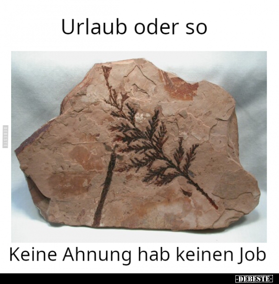 Urlaub oder so... Keine Ahnung hab keinen Job...