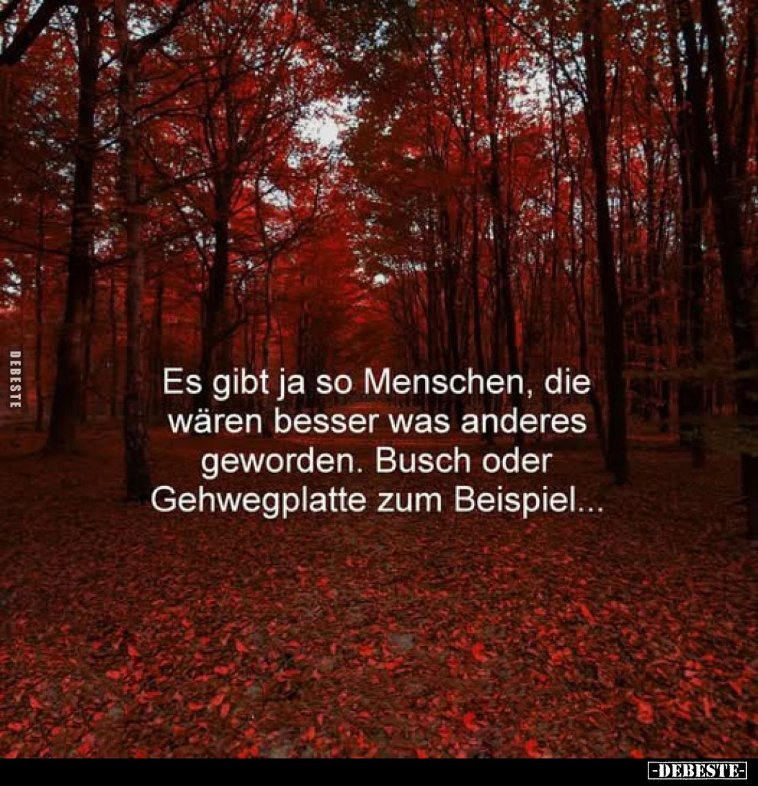 Es gibt ja so Menschen, die wären besser was anderes geworden. Busch oder Gehwegplatte zum Beispiel...