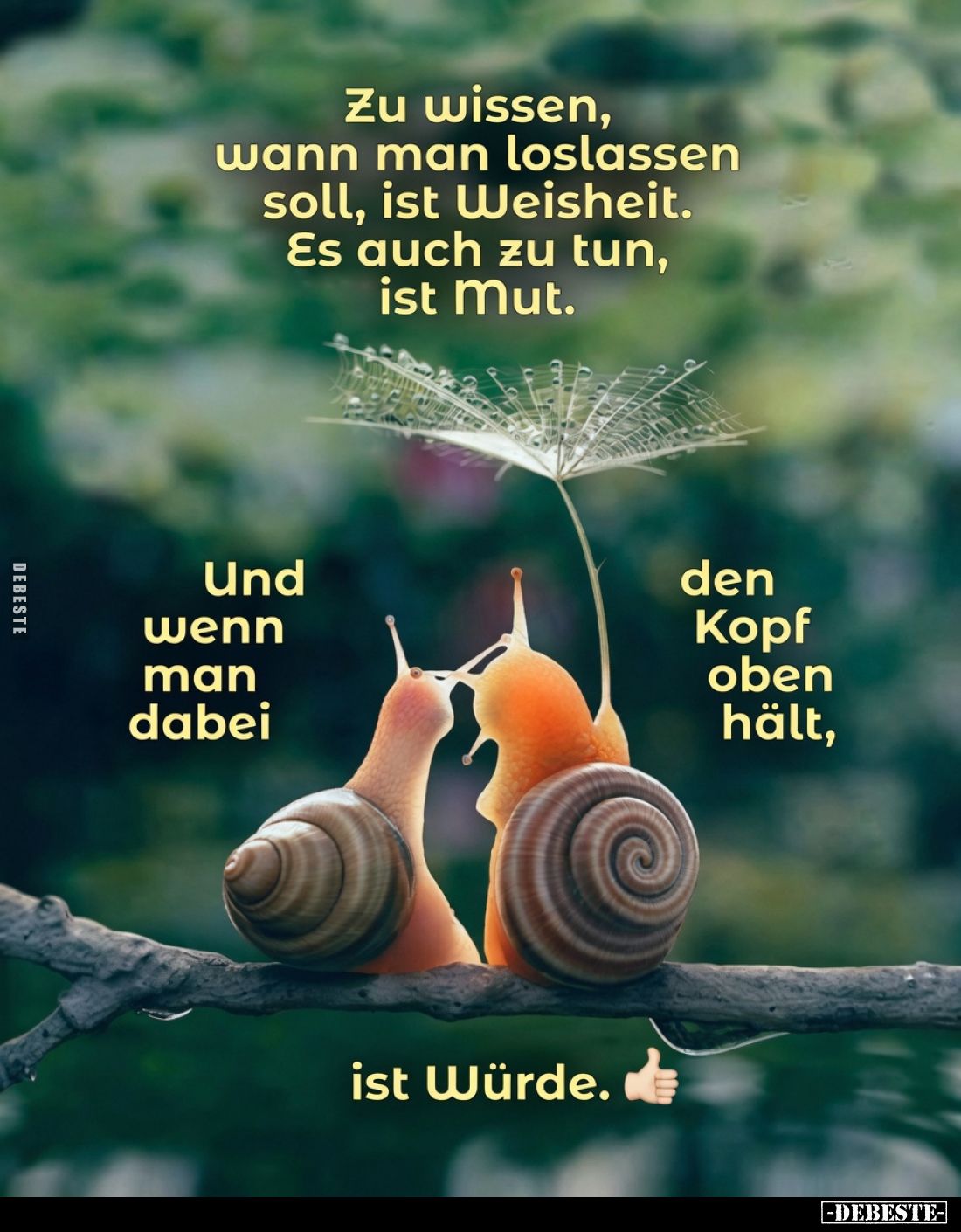 Zu wissen, wann man loslassen soll, ist Weisheit.
Es auch zu tun, ist Mut.
Und wenn man dabei den Kopf oben hält, ist Würde...
