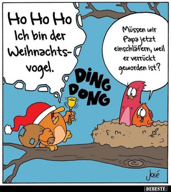 Ho Ho Ho. Ich bin der Weihnachtsvogel... - Lustige Bilder | DEBESTE.de