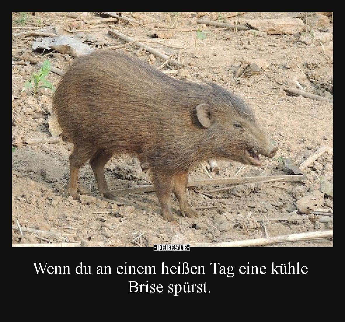 Wenn du an einem heißen Tag eine kühle Brise spürst.