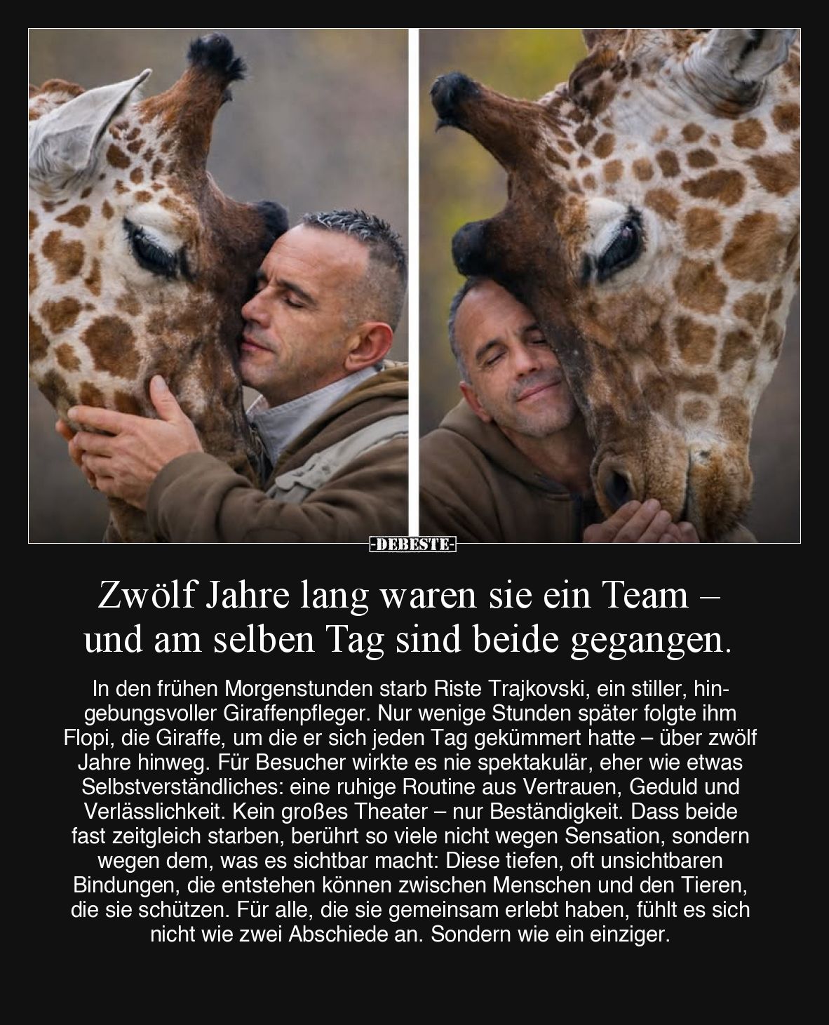 Zwölf Jahre lang waren sie ein Team... - Lustige Bilder | DEBESTE.de