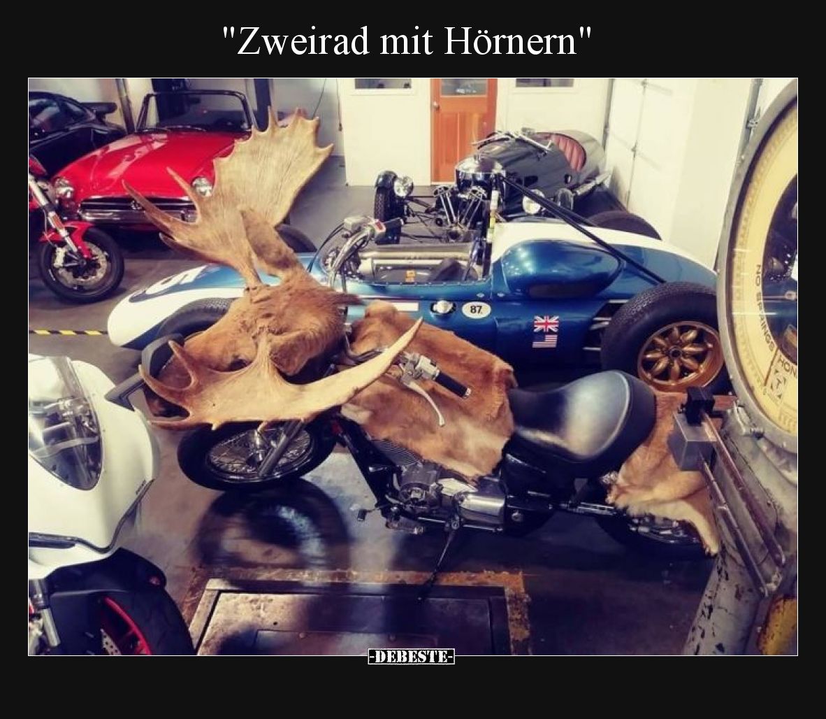 Zweirad mit Hörnern