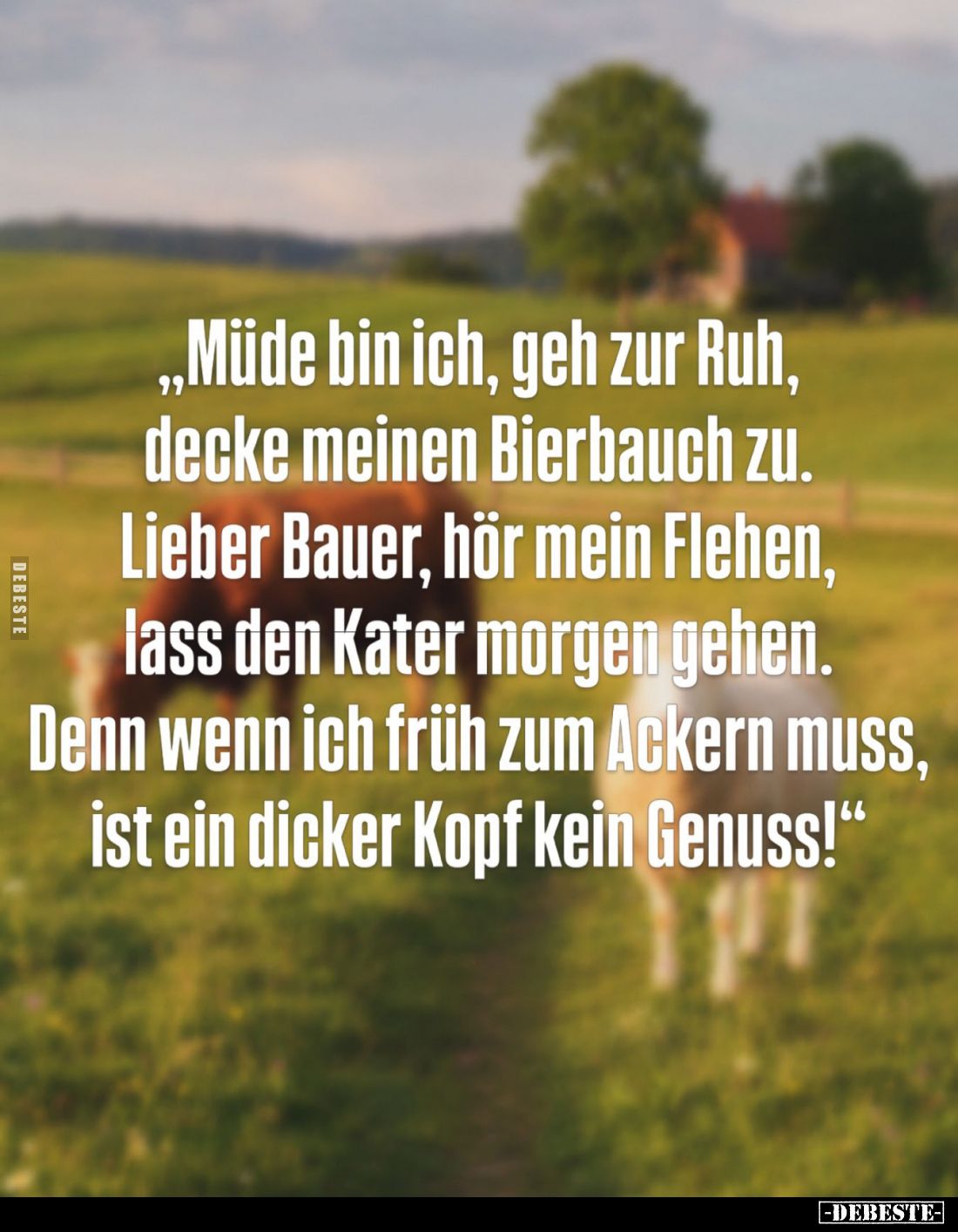 Müde bin ich, geh zur Ruh,
decke meinen Bierbauch zu.
Lieber Bauer, hör mein Flehen,
lass den Kater morgen gehen.
Denn we...