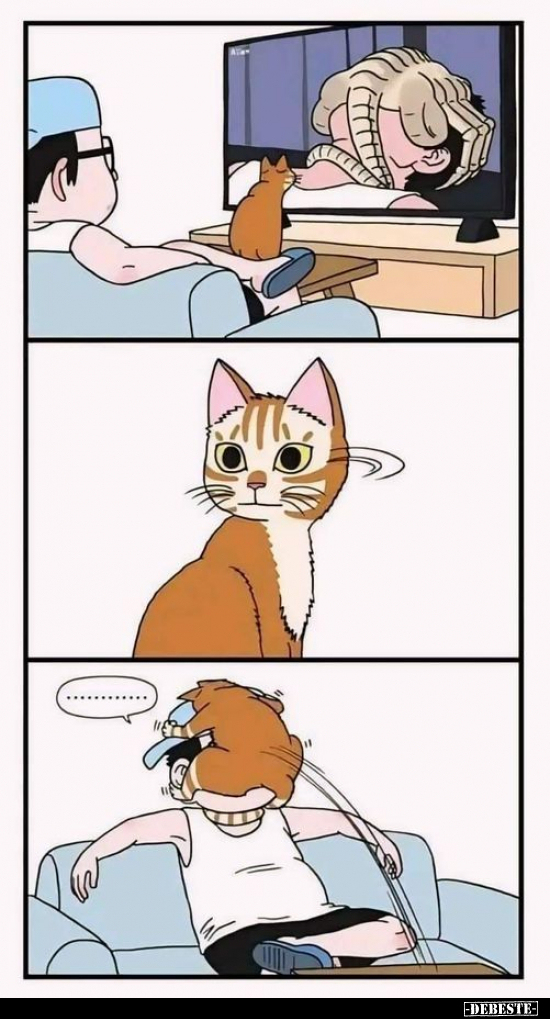  - Lustige Bilder | DEBESTE.de