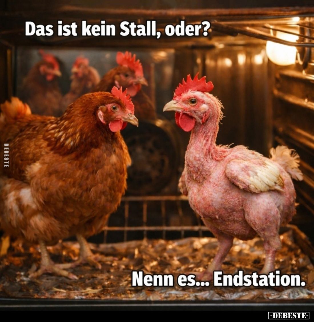 Das ist kein Stall, oder?
-
Nenn es... Endstation.