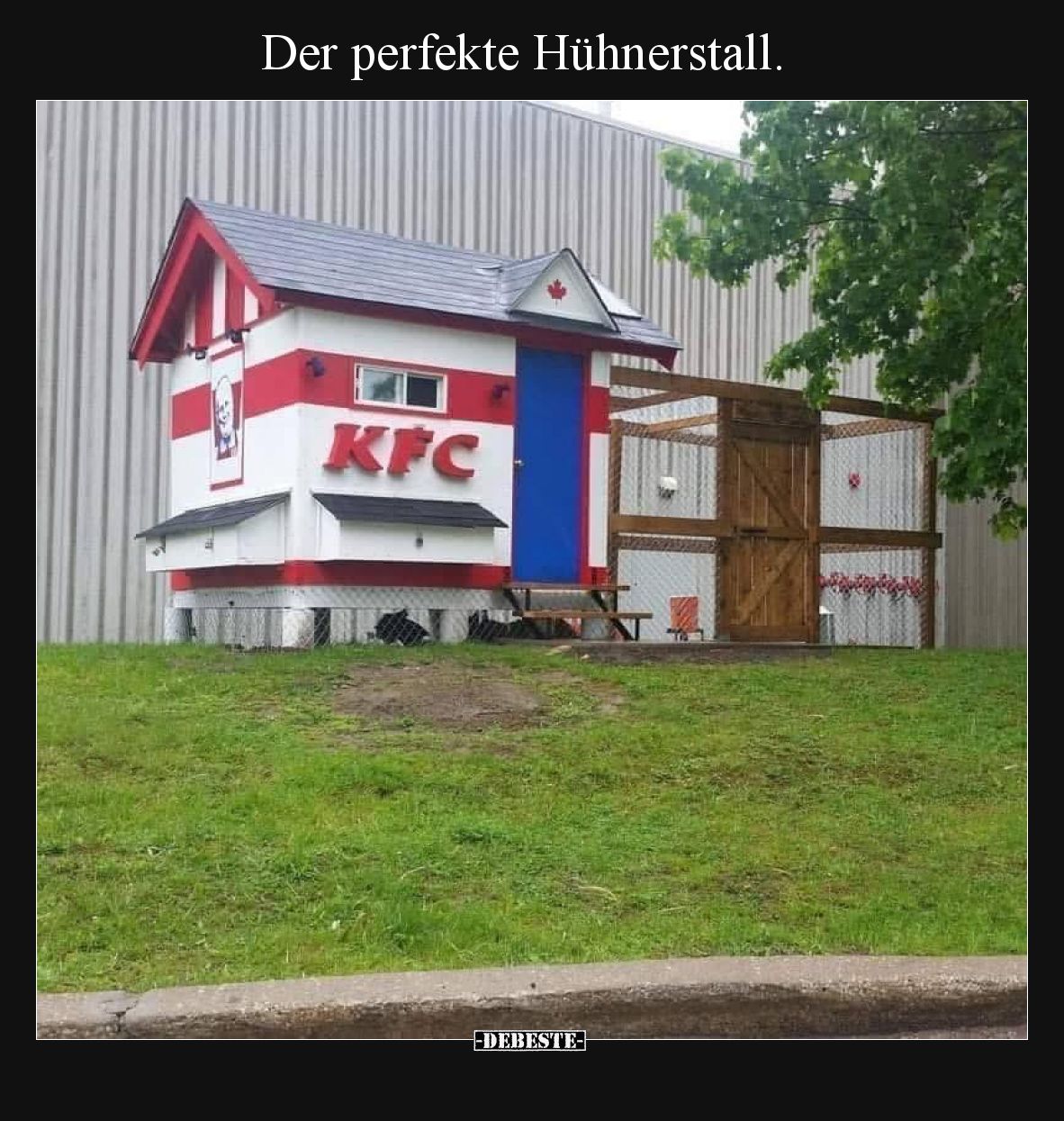 Der perfekte Hühnerstall.