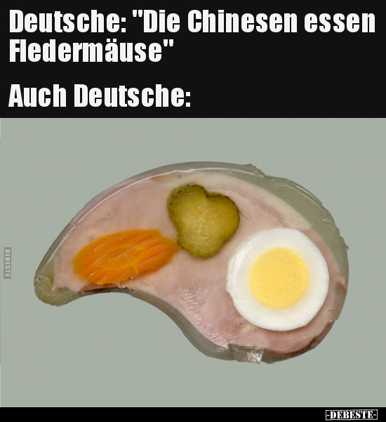 Deutsche: "Die Chinesen essen Fledermäuse..." - Lustige Bilder | DEBESTE.de