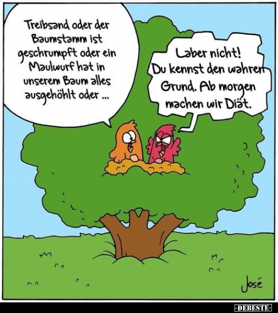 Treibsand oder der Baumstamm ist geschrumpft oder ein.. - Lustige Bilder | DEBESTE.de