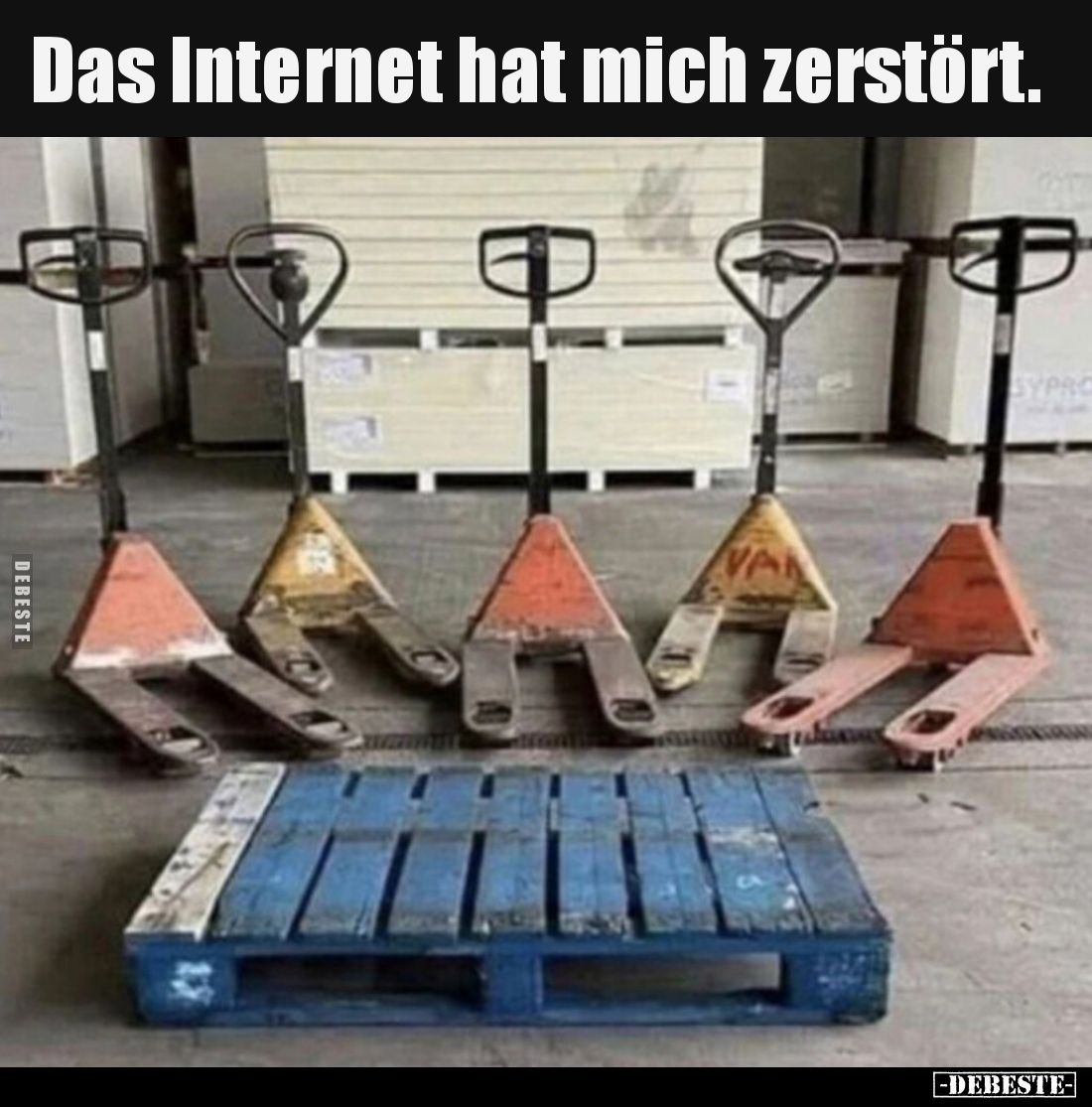 Das Internet hat mich zerstört.