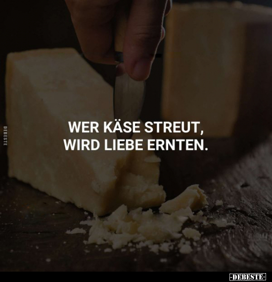  - Lustige Bilder | DEBESTE.de