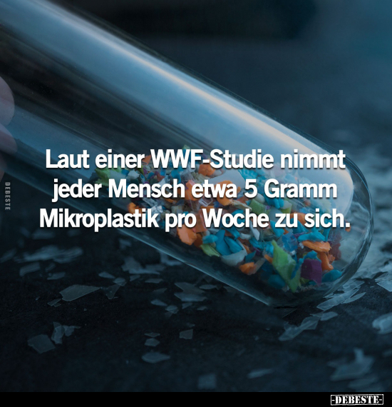 Laut einer WWF-Studie nimmt jeder Mensch etwa 5 Gramm.. - Lustige Bilder | DEBESTE.de