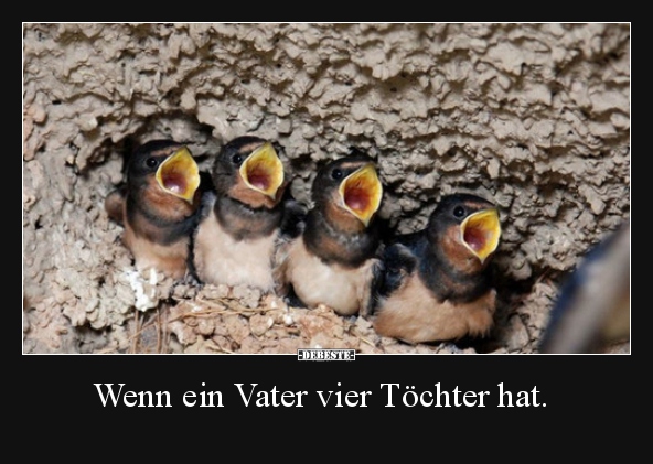 Wenn ein Vater vier Töchter hat...