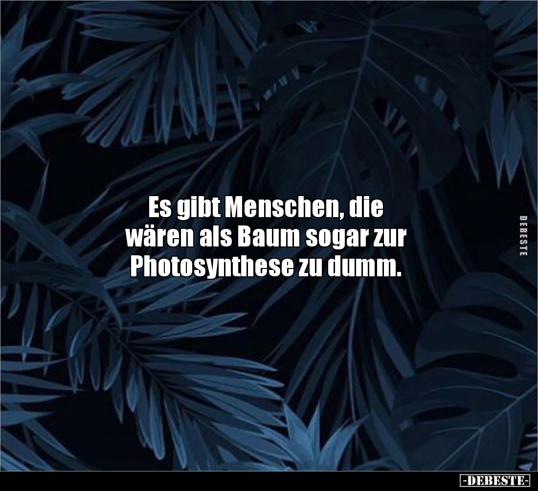 Es gibt Menschen, die 
wären als Baum sogar zur 
Photosynthese zu dumm.