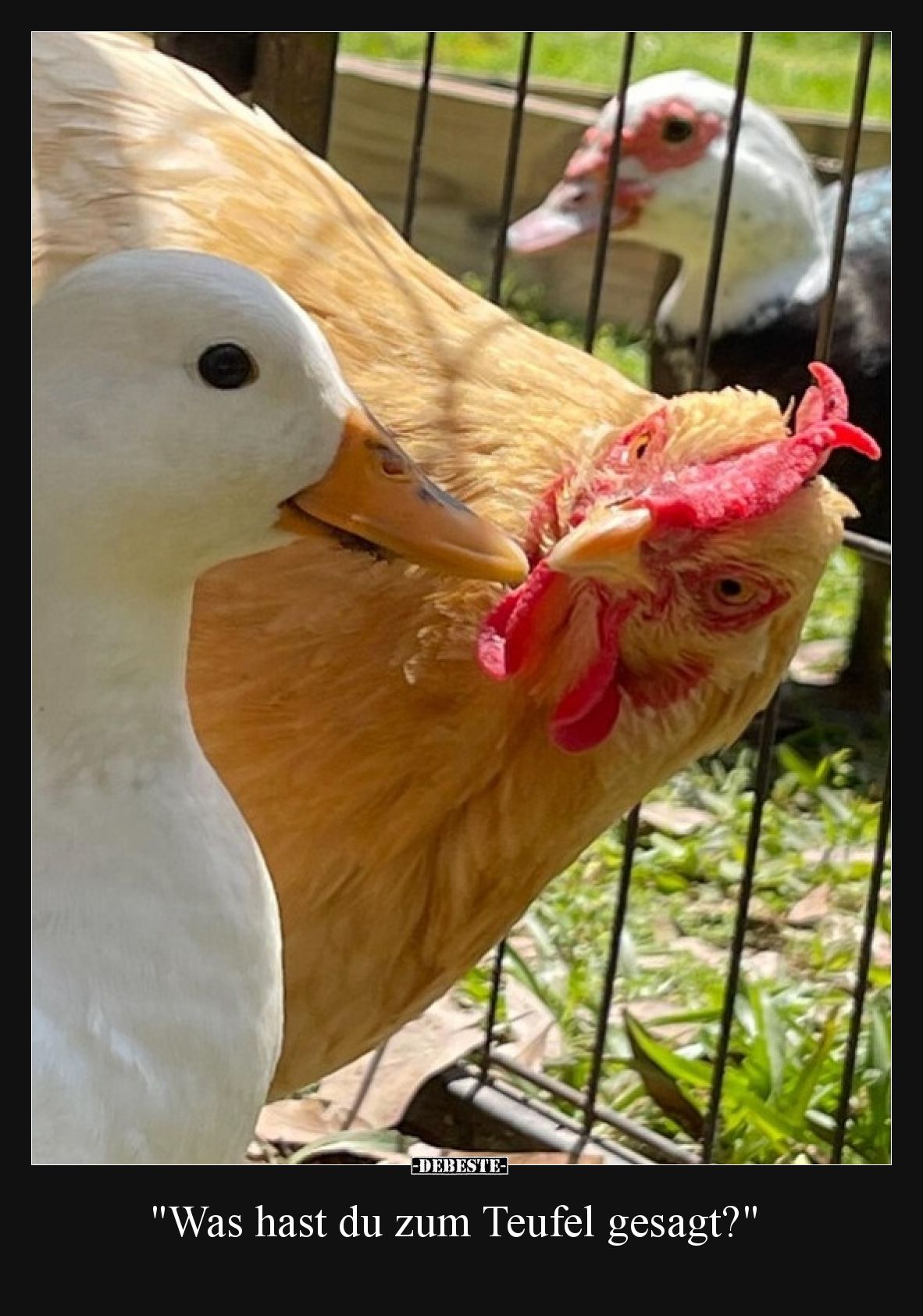 Was hast du zum Teufel gesagt?