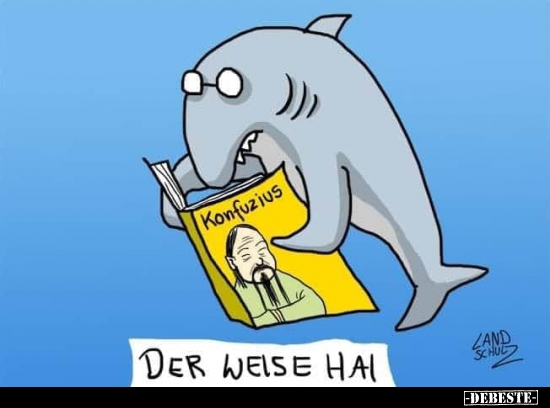 Der weise Hai... - Lustige Bilder | DEBESTE.de