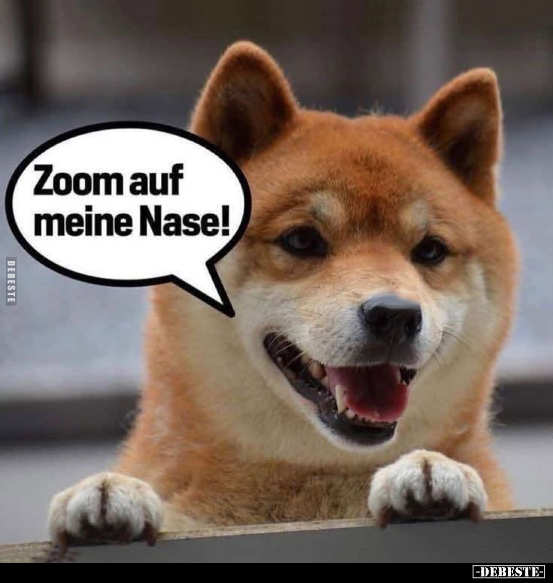 Zoom auf meine Nase!
