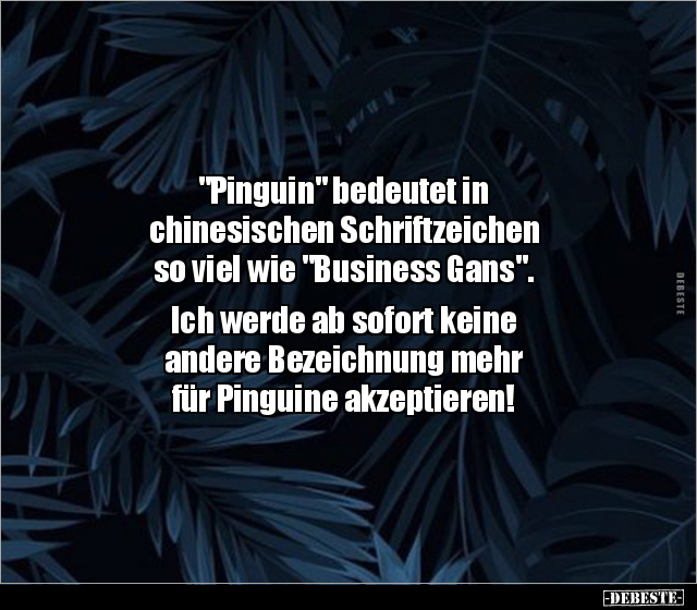 "Pinguin" bedeutet in chinesischen Schriftzeichen so viel.. - Lustige Bilder | DEBESTE.de