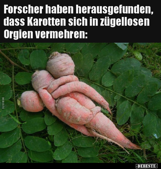 Forscher haben herausgefunden, dass Karotten sich in.. - Lustige Bilder | DEBESTE.de