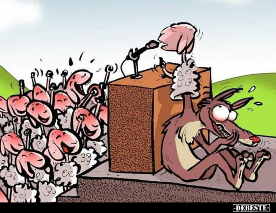  - Lustige Bilder | DEBESTE.de