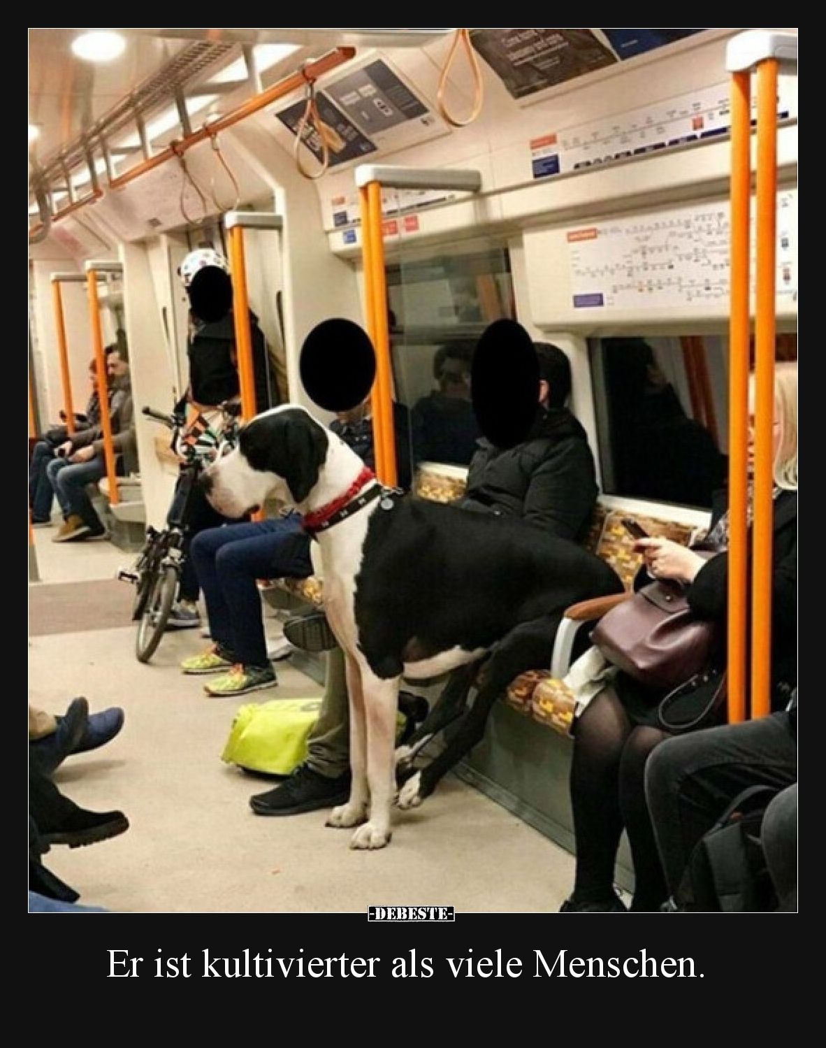 Er ist kultivierter als viele Menschen.