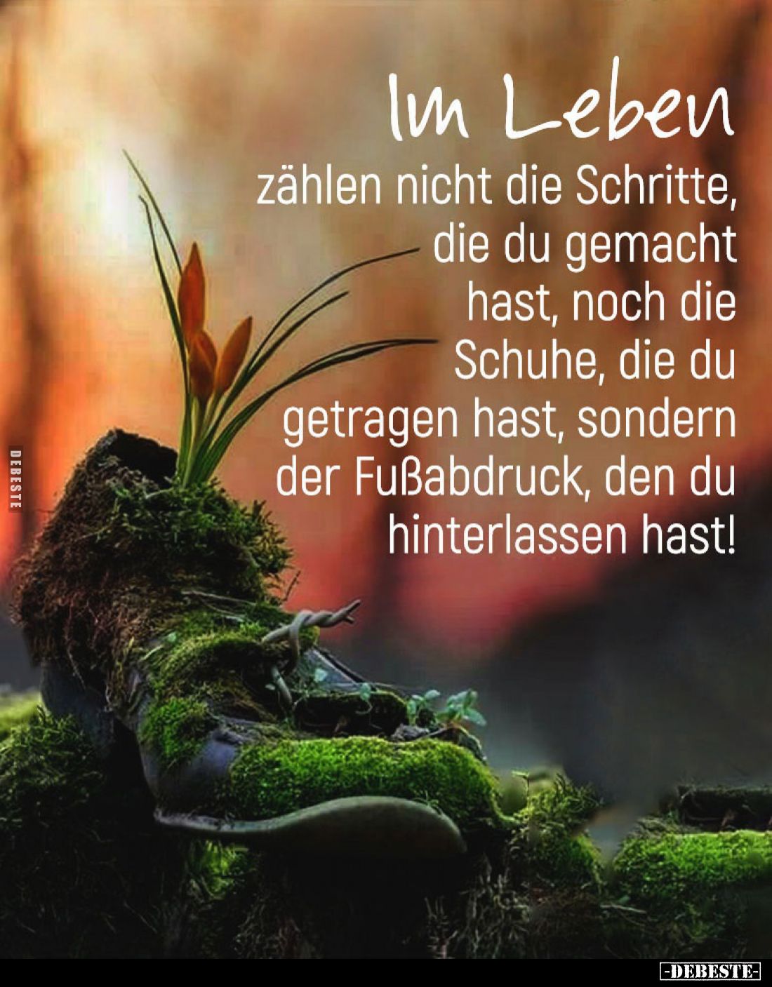 Im Leben
zählen nicht die Schritte, die du gemacht hast, noch die Schuhe, die du getragen hast, sondern der Fußabdruck, den ...