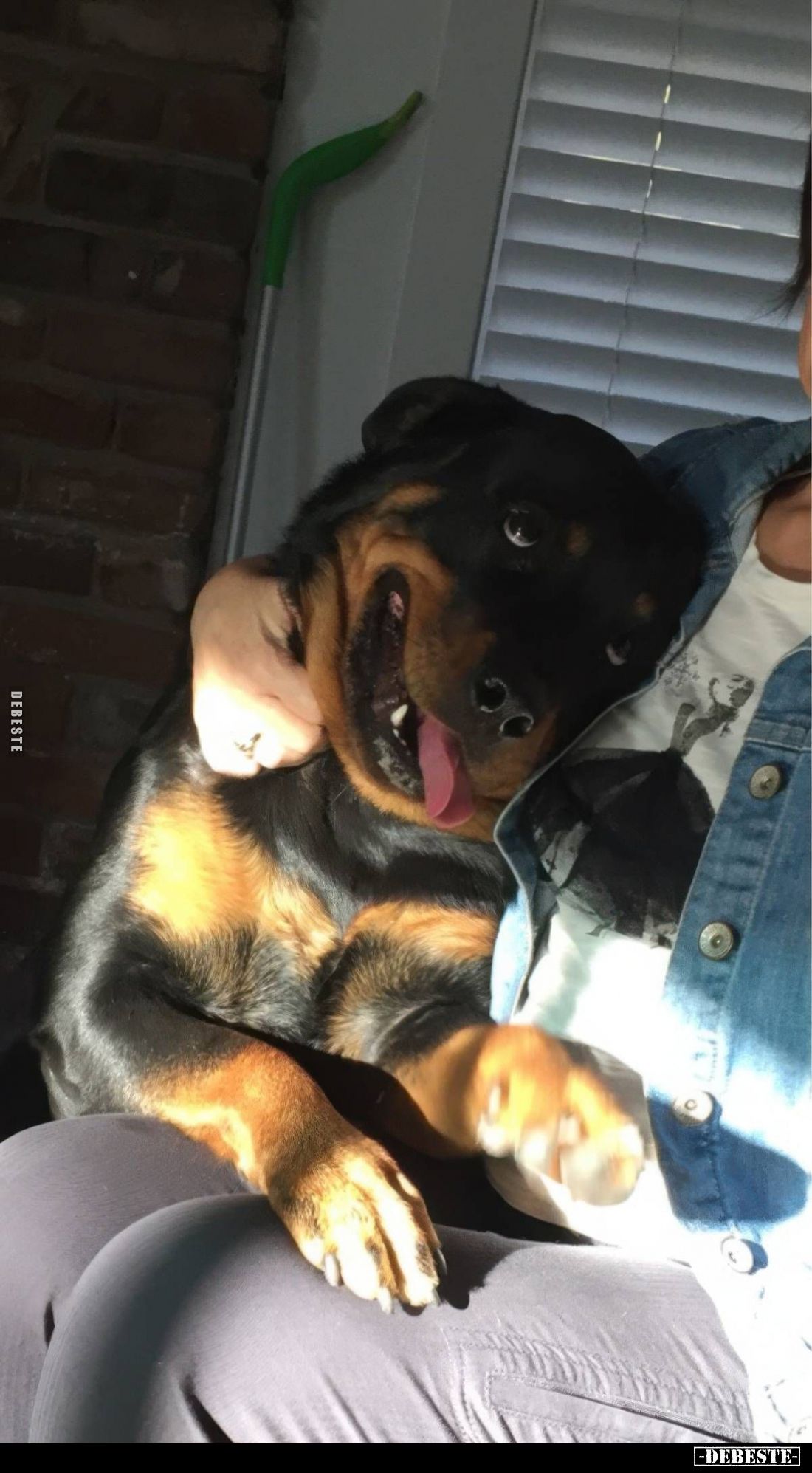  - Lustige Bilder | DEBESTE.de